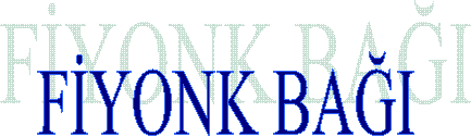 BALIK�I D���M� 