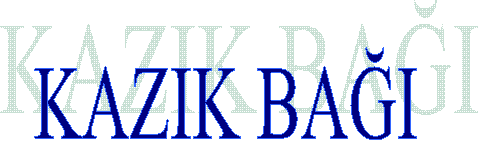 BALIKI DM 